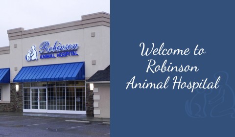 Welcome to Robinson Animal Hospital!