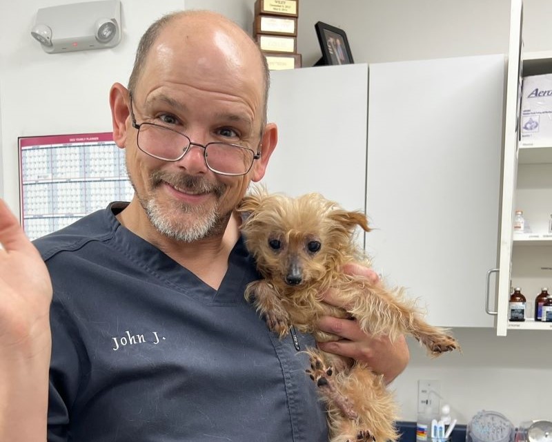 Man in scrubs holding a small blonde dog in a medical office.