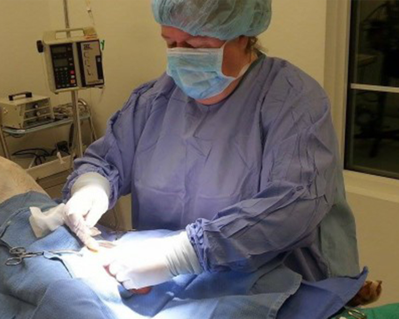Surgeon in scrubs performing a medical procedure on a patient.