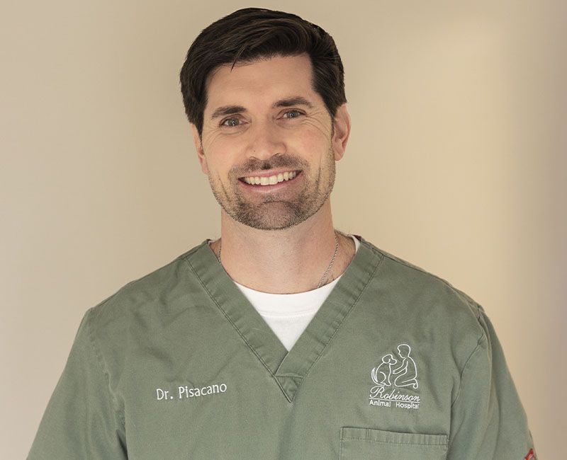 Smiling male veterinarian in a green scrub with name embroidery.