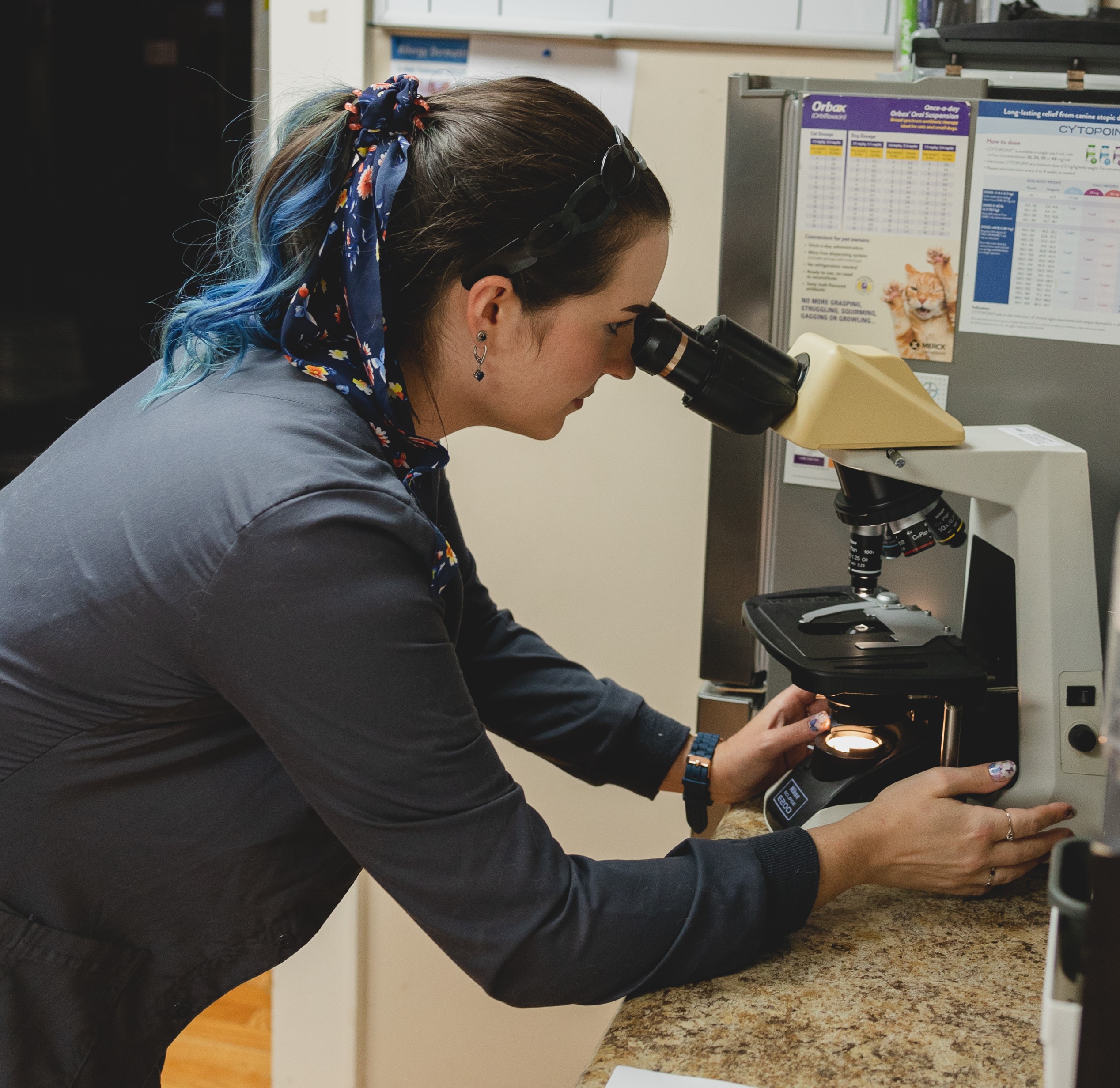 Woman with blue hair using a microscope in a laboratory setting.