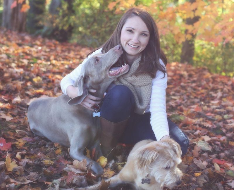 Woman sitting outdoors with a Weimaraner and a small shaggy dog among fallen leaves.