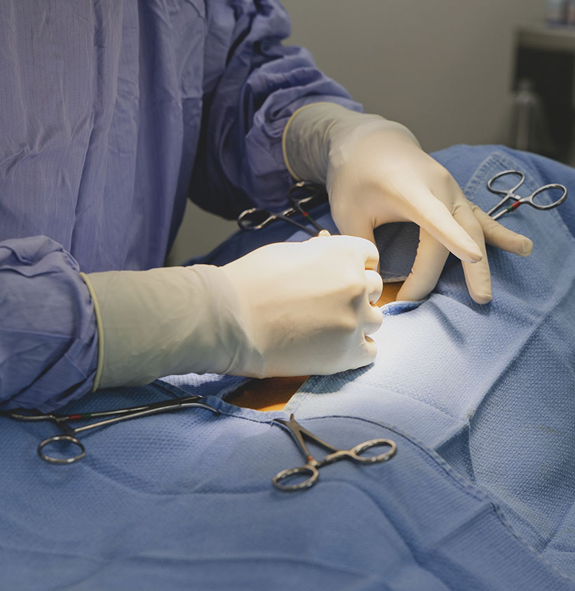Surgeon performing surgery, gloved hands working on a patient covered in blue surgical cloth.