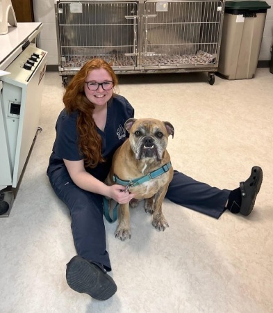 A smiling veterinarian sitting with a bulldog in a clinic.