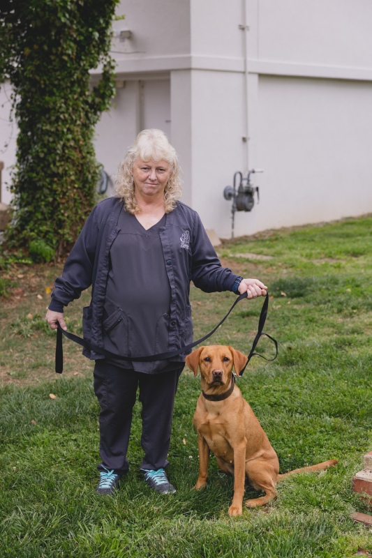 Woman standing with a leashed golden Labrador in a grassy area.