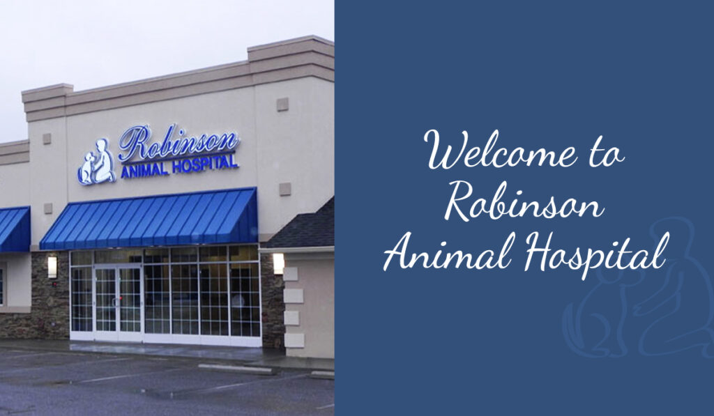 Exterior view of Robinson Animal Hospital with illuminated blue signage.
