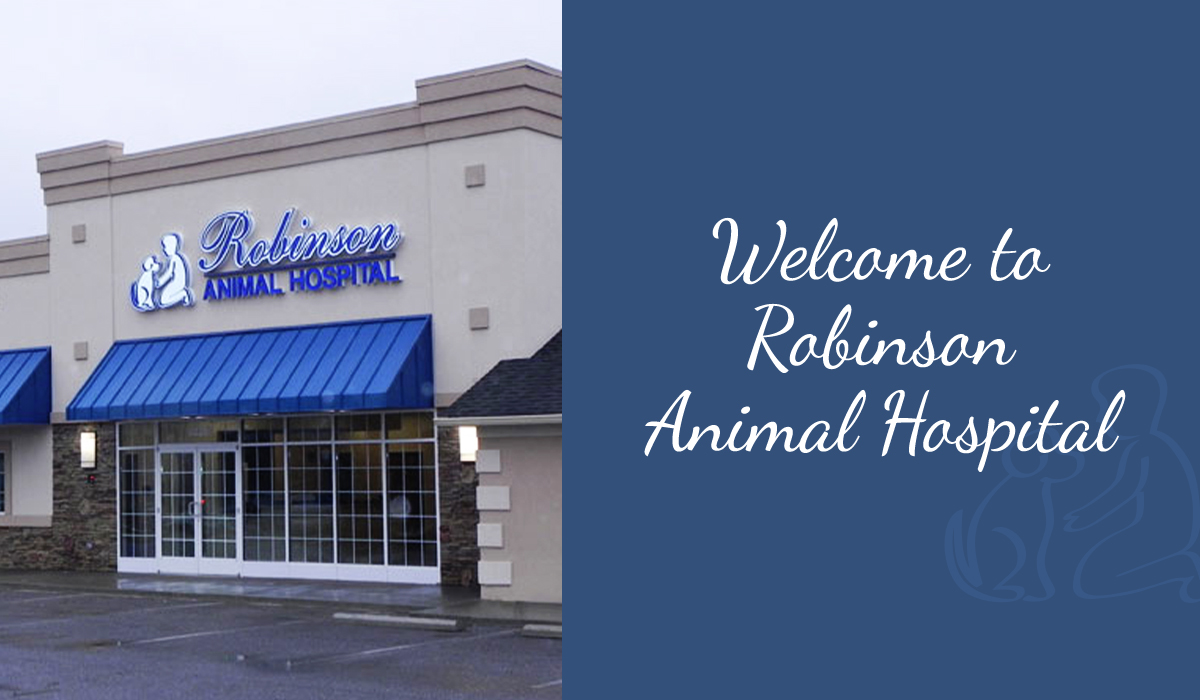 Exterior view of Robinson Animal Hospital with illuminated blue signage.