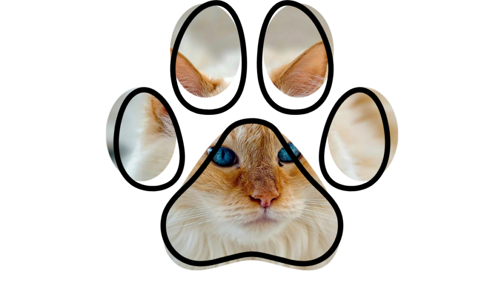 vet near me Johnson City preventive care