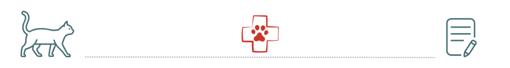 pet insurance preventive care Robinson Animal Hospital Johnson City TN dogs cats checkup