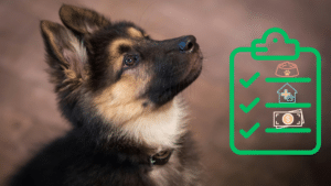 German Shepherd puppy beside a new pet care checklist for Robinson Animal Hospital in Johnson City