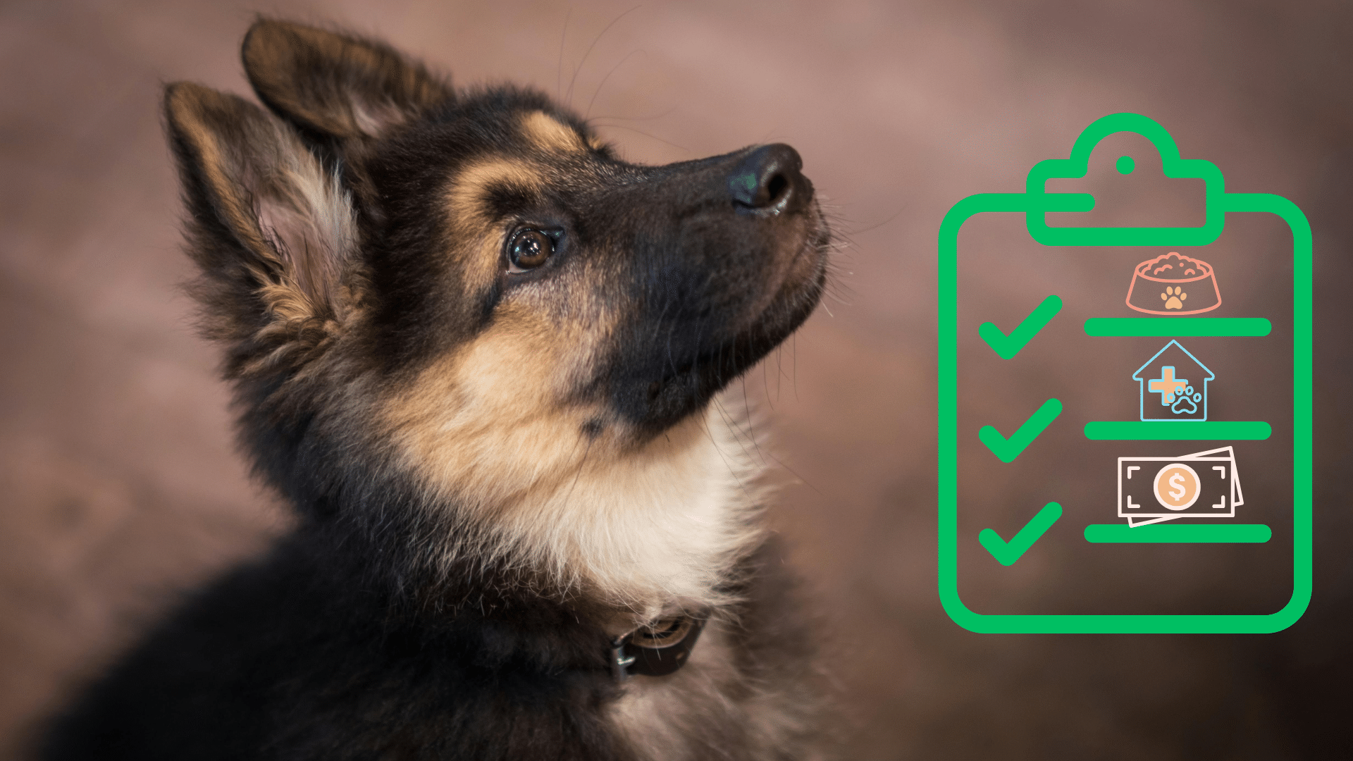 German Shepherd puppy beside a new pet care checklist for Robinson Animal Hospital in Johnson City