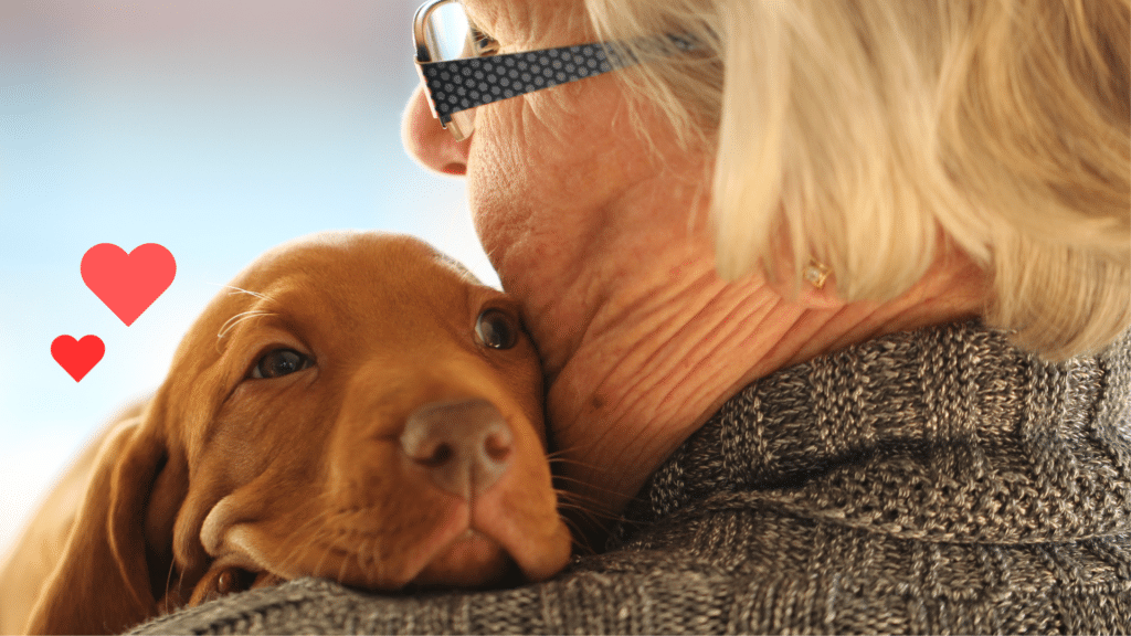 New dog bonding with an owner during the first days of pet ownership with support from Robinson Animal Hospital